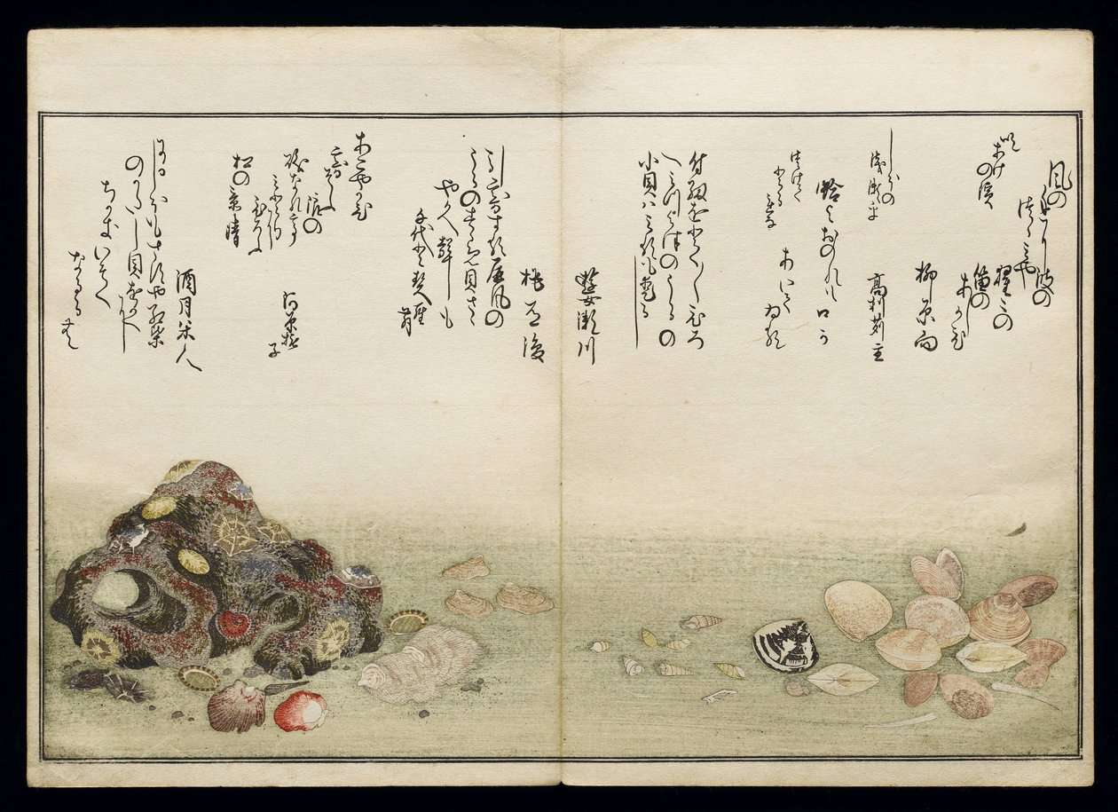 Shiohi no tsuto (Presentes da Ebb Tide), conhecido como o livro Shell, 1789 (impressão em xilogravura a cores) de Kitagawa Utamaro