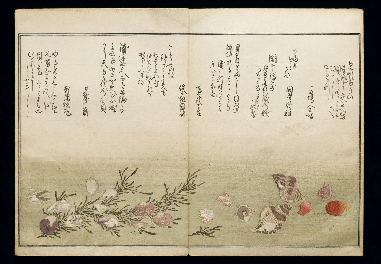 Shiohi no tsuto (Presentes da Ebb Tide), conhecido como o livro Shell, 1789 (impressão em xilogravura a cores) de Kitagawa Utamaro