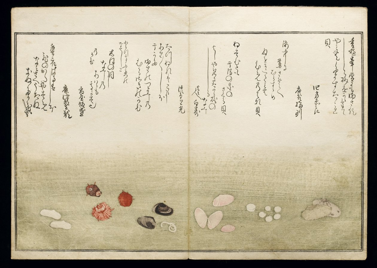 Shiohi no tsuto (Presentes da Ebb Tide), conhecido como o livro Shell, 1789 (impressão em xilogravura a cores) de Kitagawa Utamaro