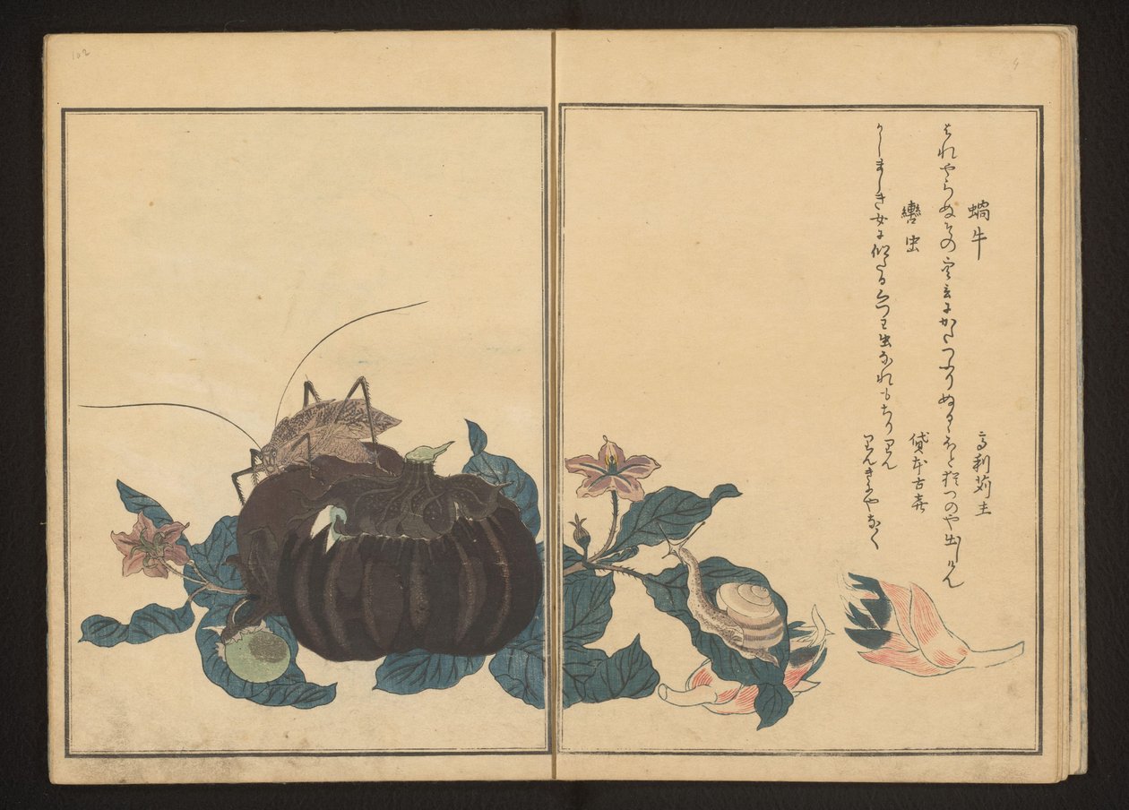 Caracol e grilo ruidoso sobre berinjela de Kitagawa Utamaro