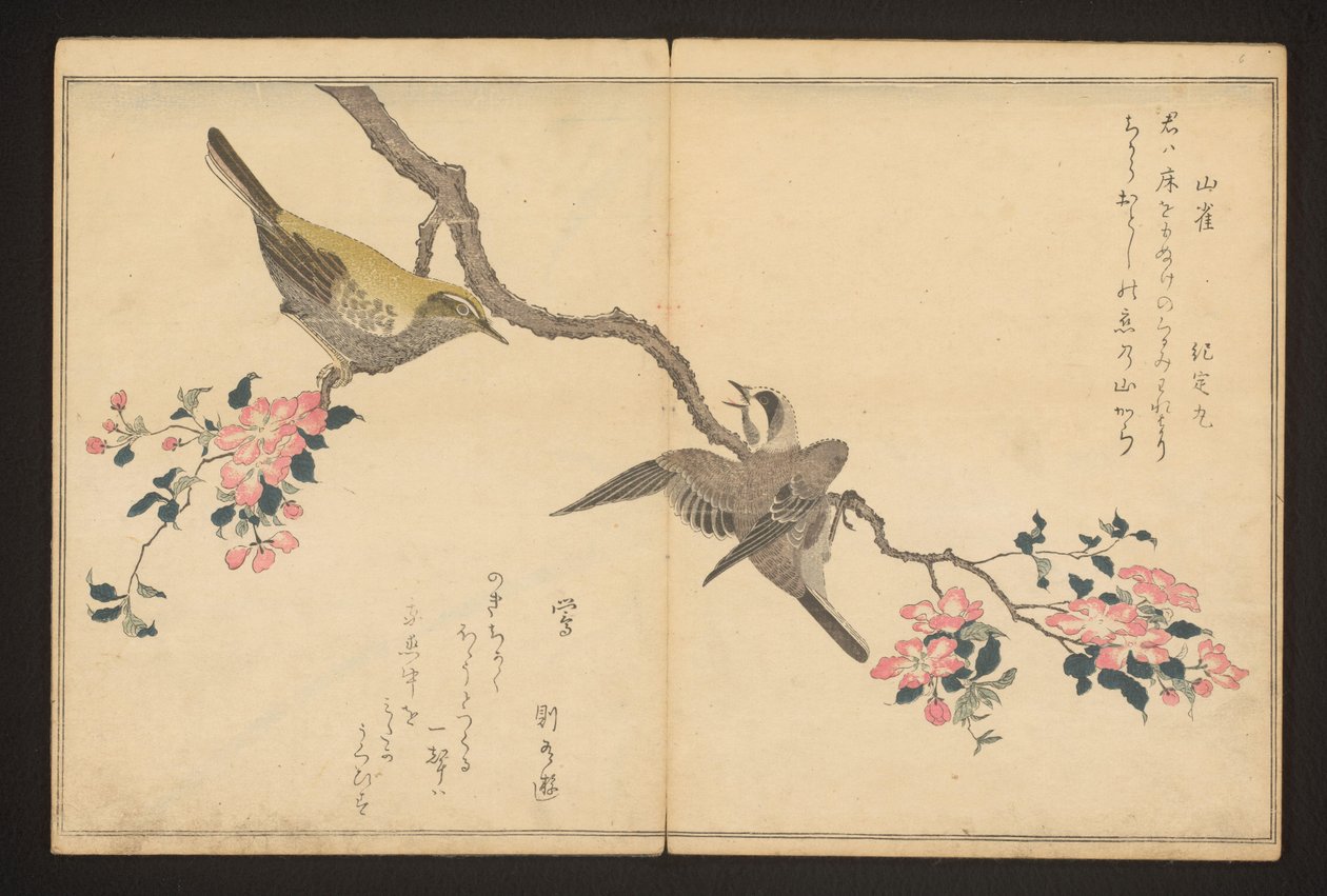 Toutinha e toutinegra de Kitagawa Utamaro