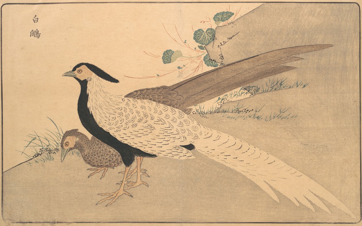Bai xian, 1789. de Kitao Masayoshi
