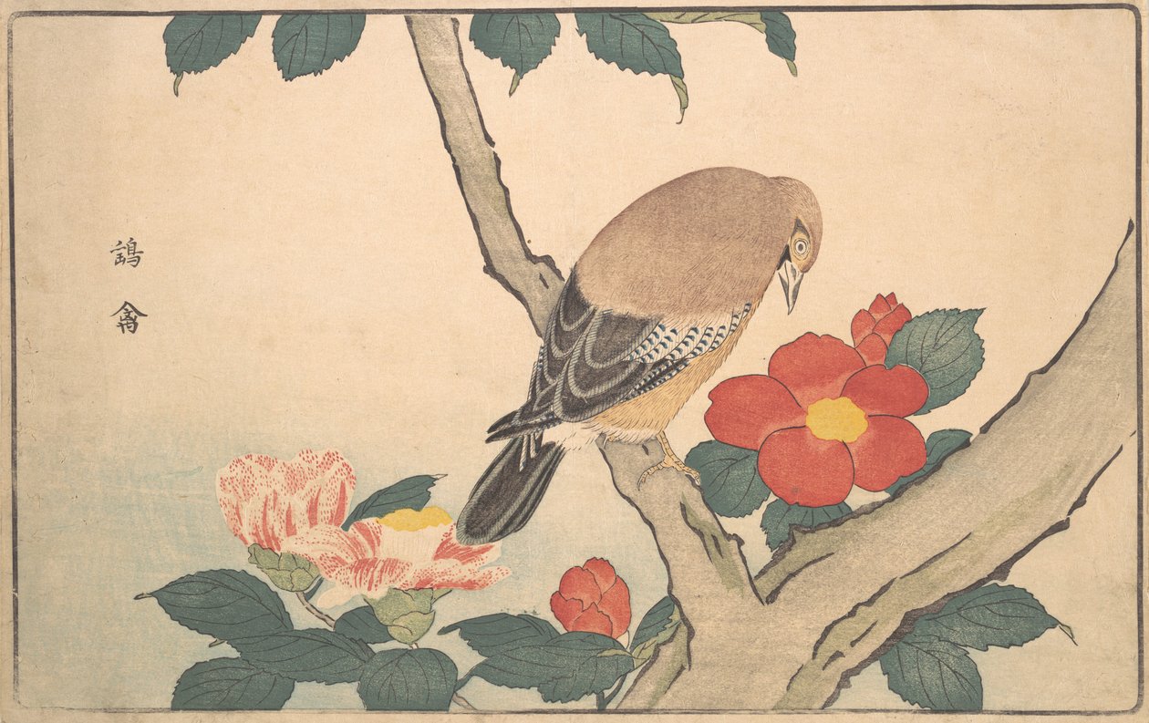 Camélias com um Pássaro, 1789. de Kitao Masayoshi