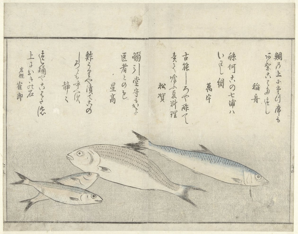Quatro peixes de Kitao Masayoshi