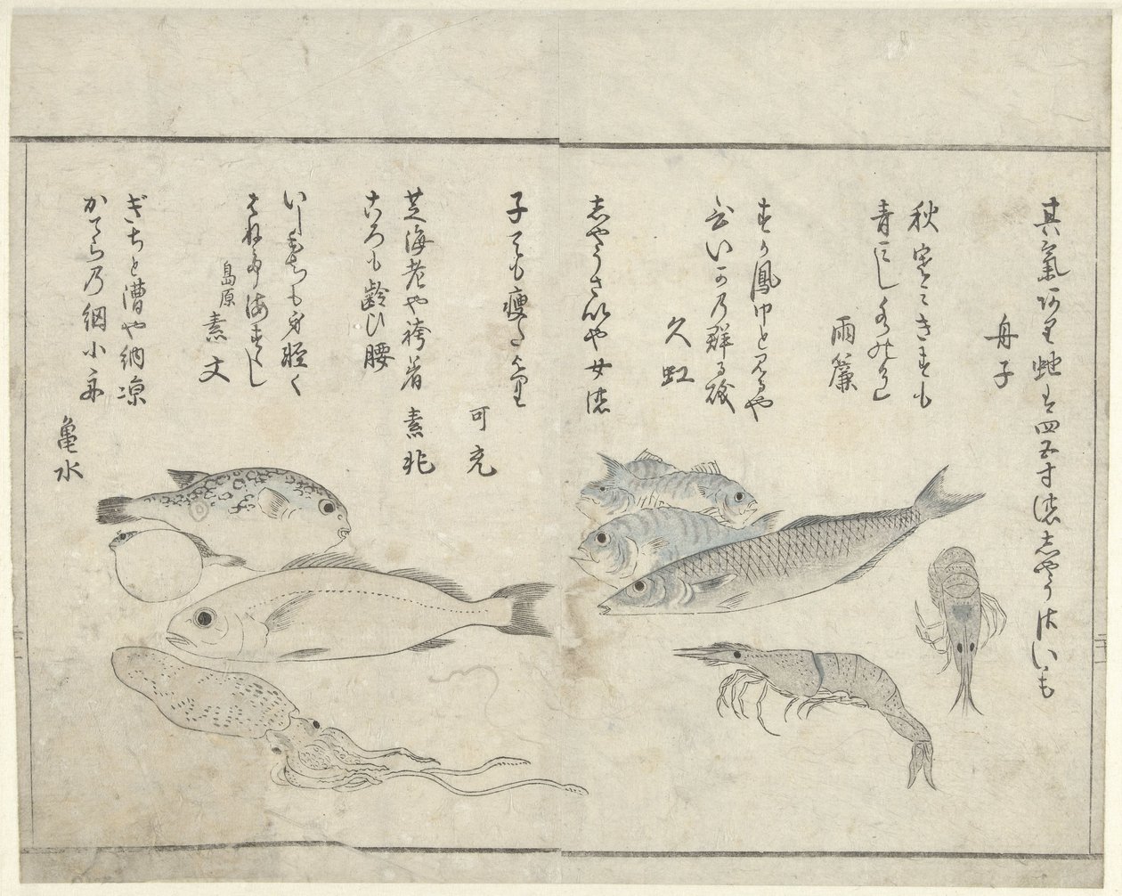 Zeedieren de Kitao Masayoshi
