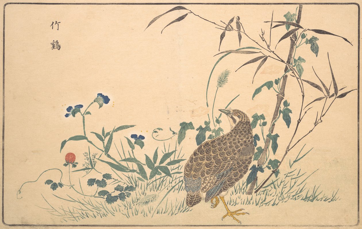 Máquina caça-níqueis Z, 1789. de Kitao Masayoshi
