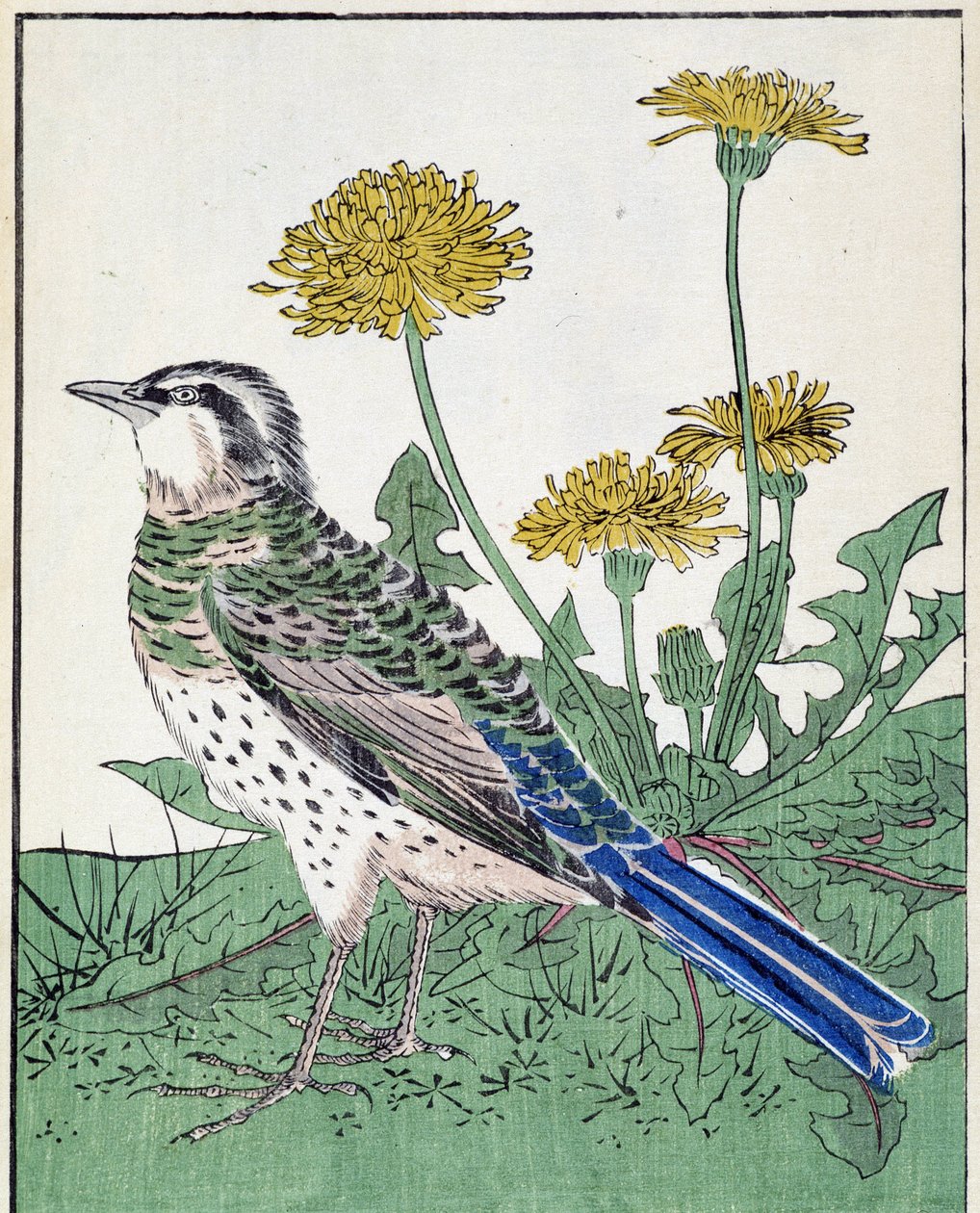 Bird. Desenho japonês de Kitao Kosuisai de Kitao Shigemasa