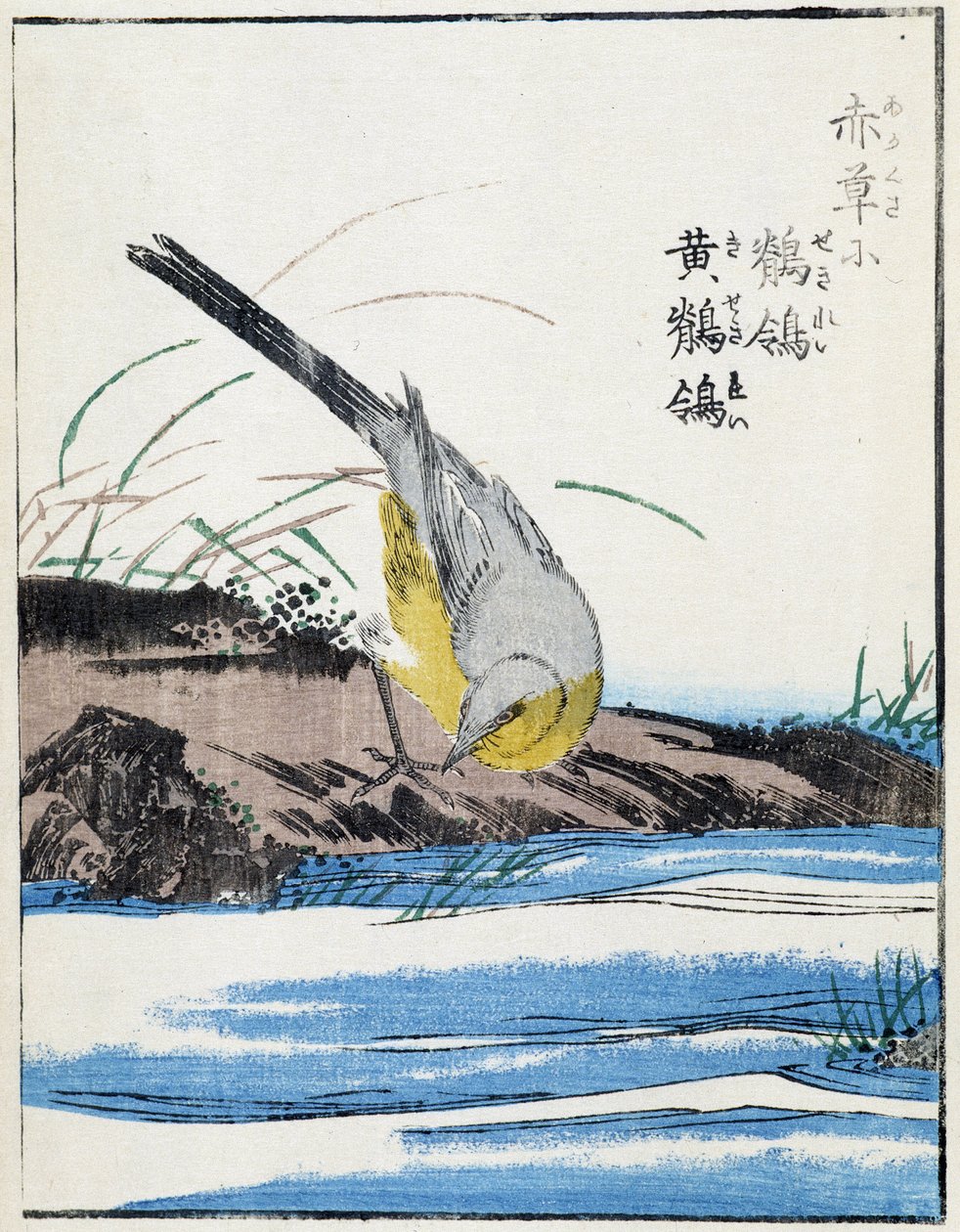 Bird. Desenho japonês de Kitao Kosuisai de Kitao Shigemasa