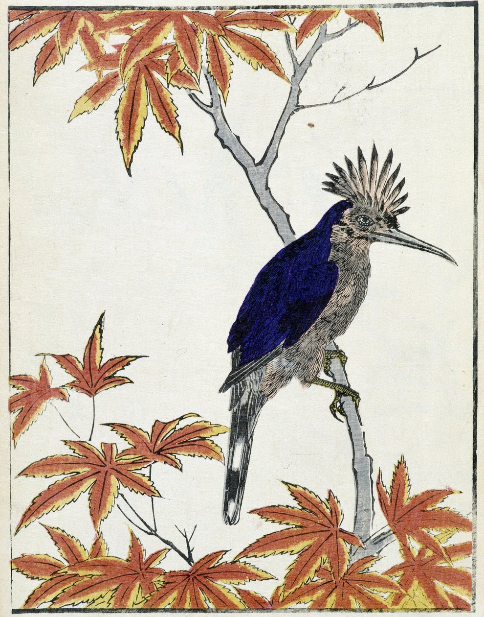 Um pássaro numa árvore. Desenho japonês de Kitao Kosuisai de Kitao Shigemasa