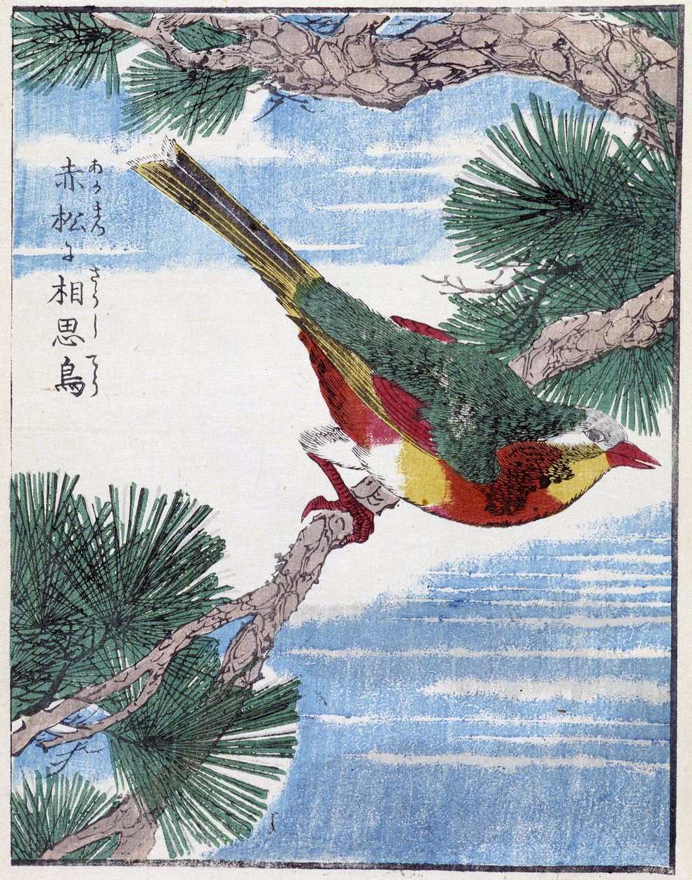 Um pássaro numa árvore. Desenho japonês de Kitao Kosuisai de Kitao Shigemasa