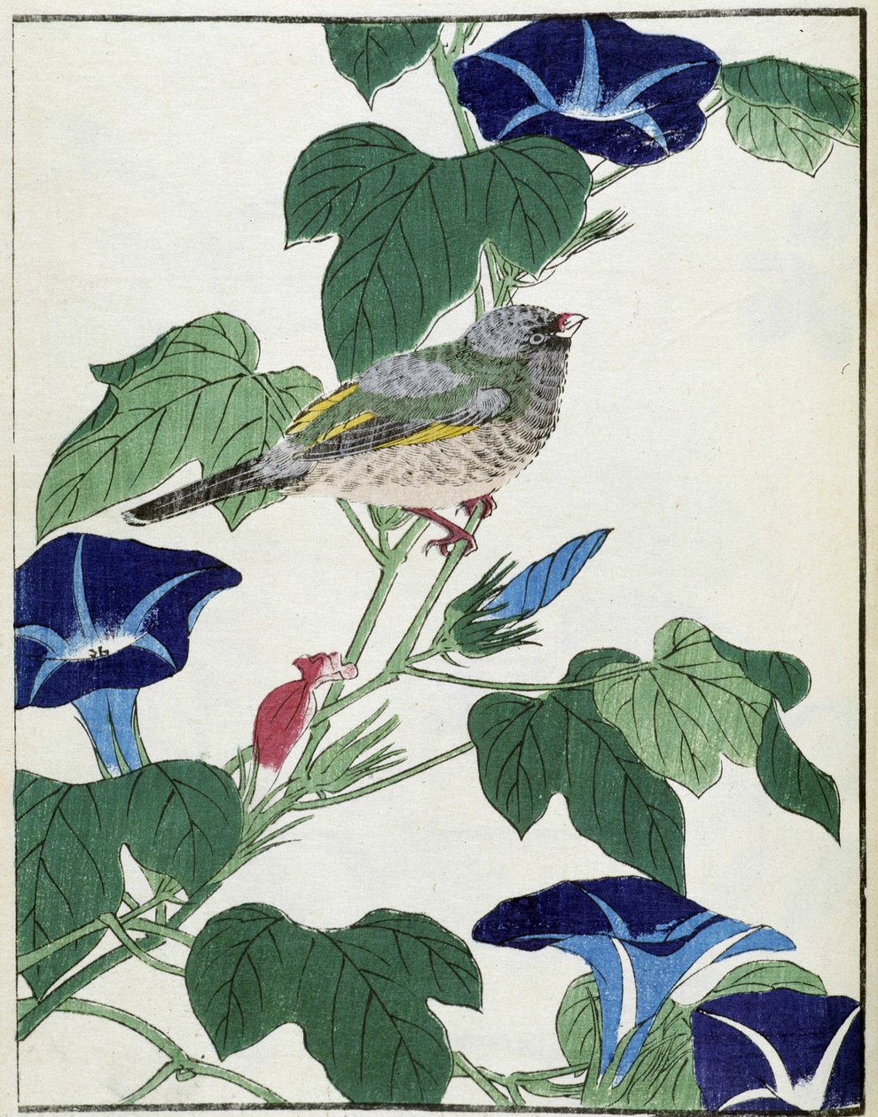 Um pássaro numa árvore. Desenho japonês de Kitao Kosuisai de Kitao Shigemasa