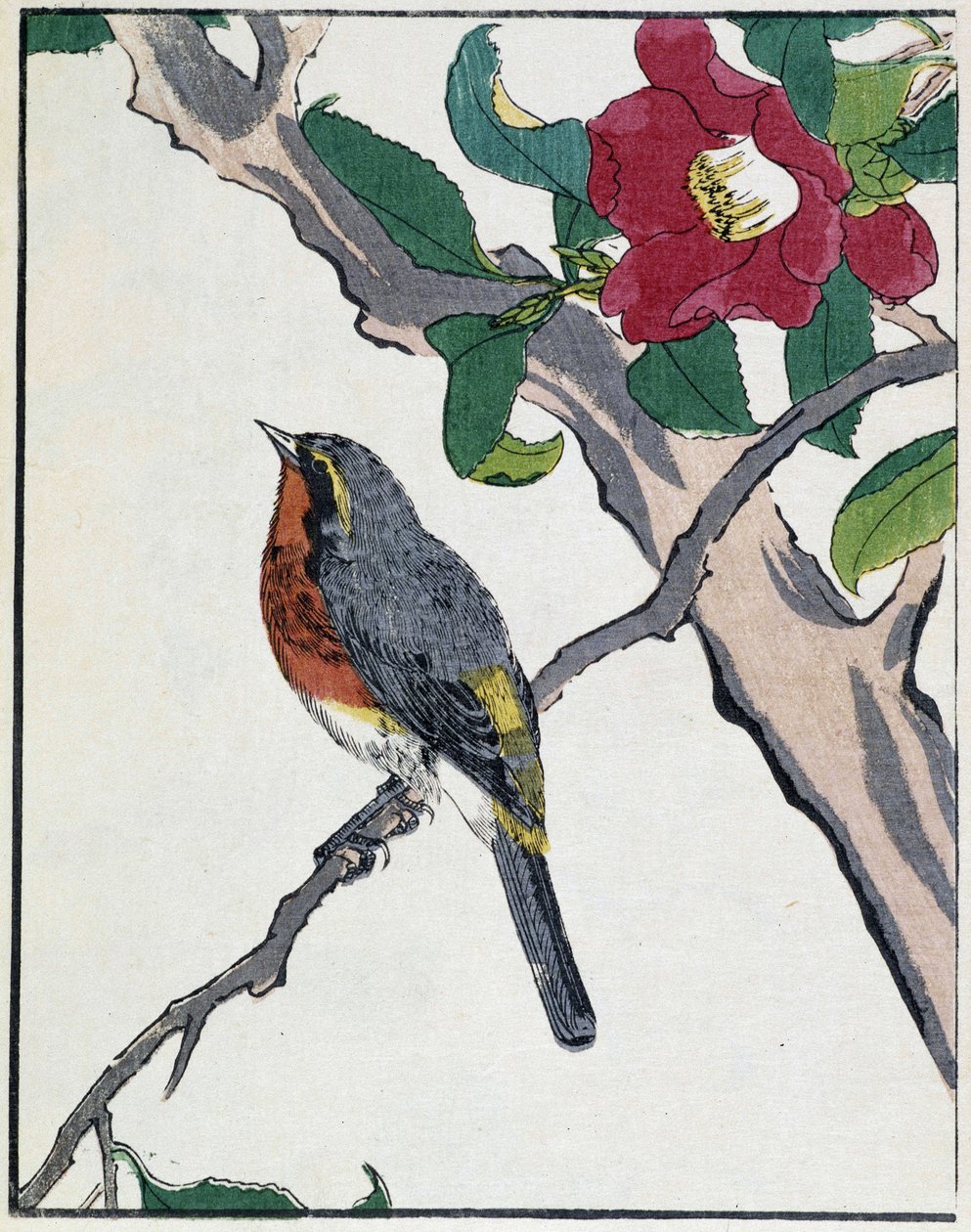 Desenho japonês de Kitao Kosuisai de Kitao Shigemasa