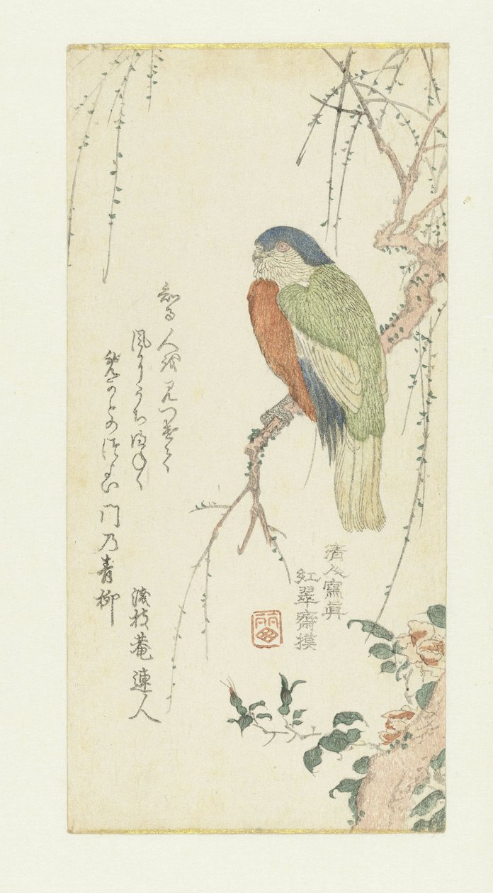 Papagaio em uma árvore de ameixa de Kitao Shigemasa