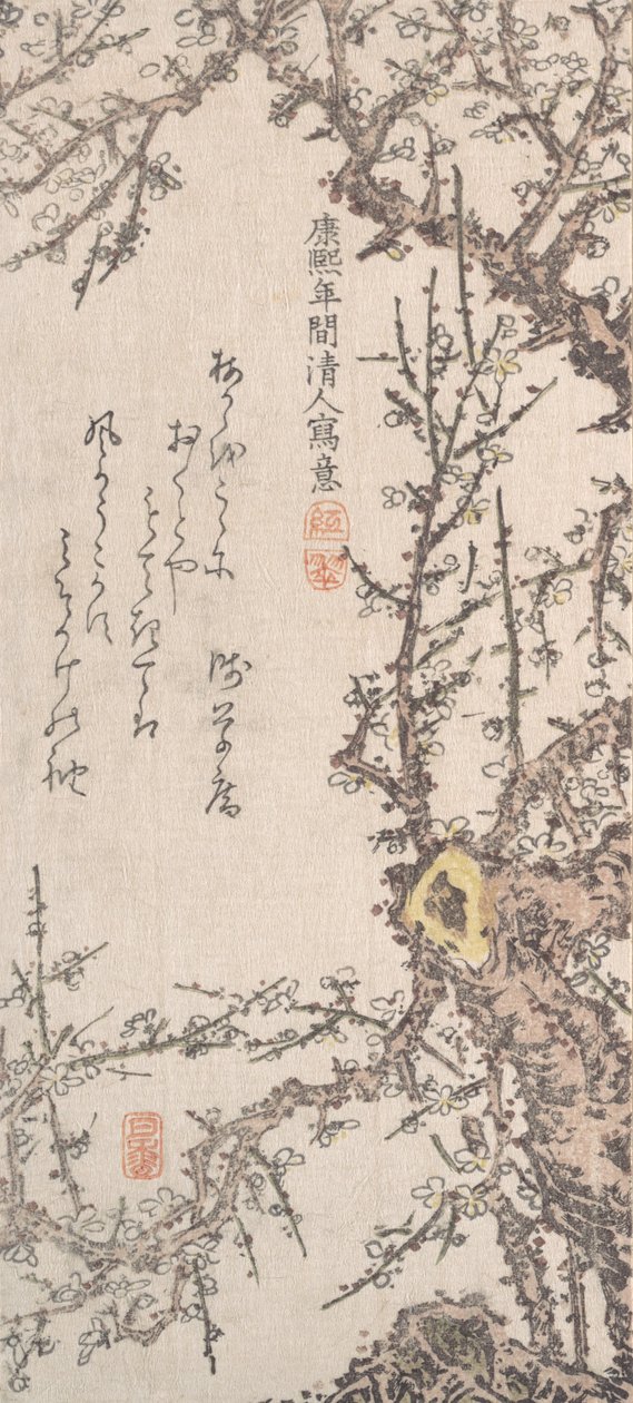 Plum Tree in Blossom, final do século XVIII - início do século XIX. de Kitao Shigemasa