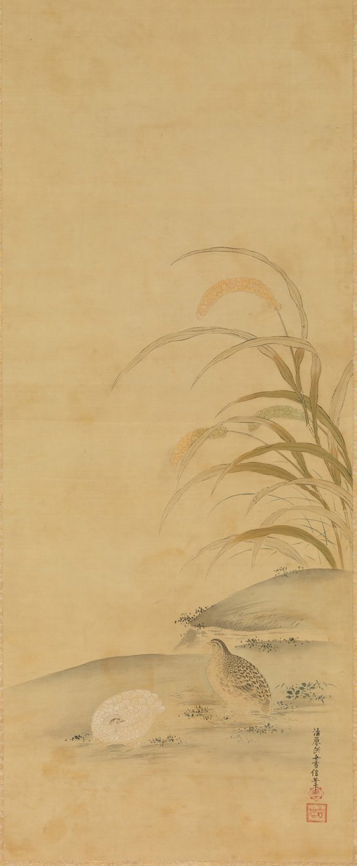 Codorniz e Millet, finais do século XVII. de Kiyohara Yukinobu