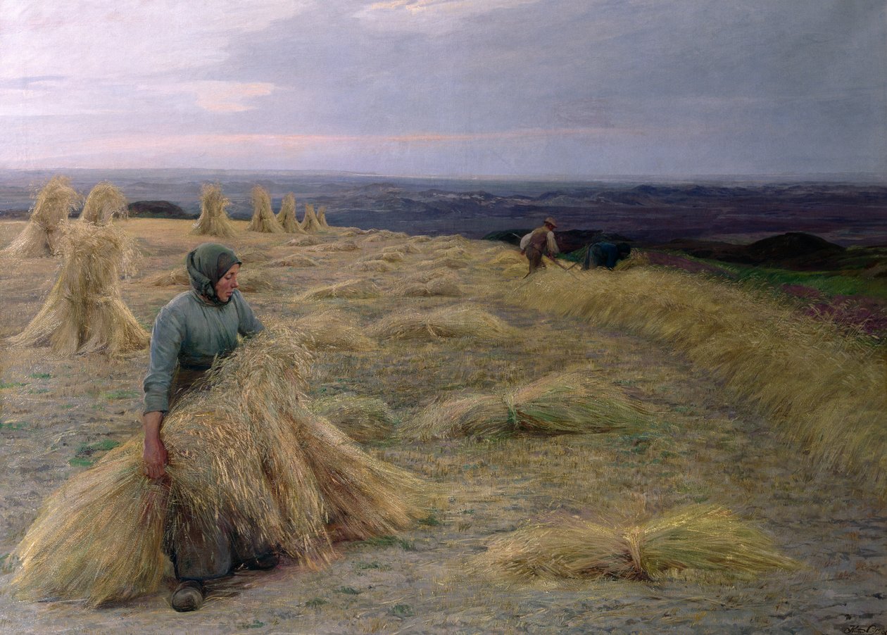 As colheitadeiras, Svinklov-Viildemosen, Jutland de Knud Larsen