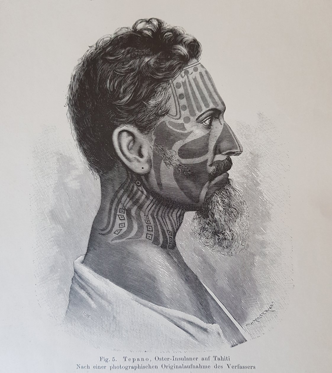 Juan Tepano, ilustração de &39;Sobre a tatuagem dos insulares de Páscoa&39;, por Hjalmar Stolpe, 1899 de Knut Hjalmar Stolpe