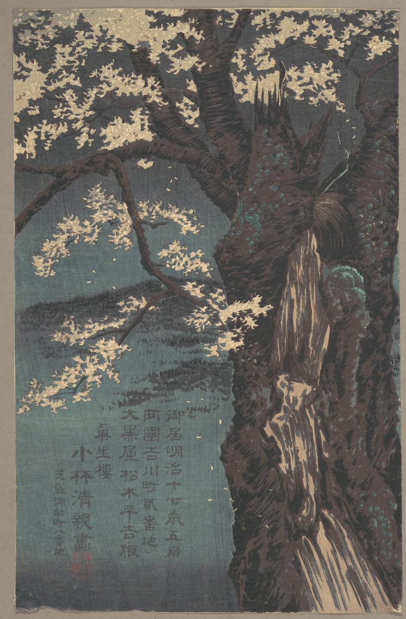 Cerejeira de Kobayashi Kiyochika