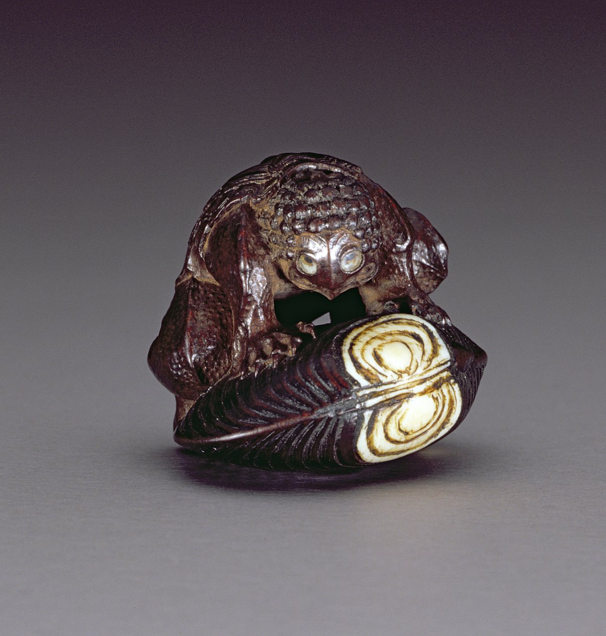 Netsuke representando um kappa agachado em uma concha de molusco, 1860-80 (madeira) de Komin