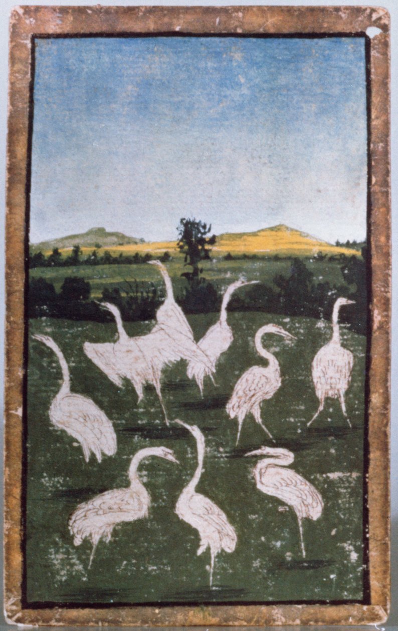 Garças em um campo, uma de um conjunto de cartas de baralho que descrevem cenas de falcoaria, Upper Rhein Area, c.1440-45 (caneta e tinta, wc) (ver também 88300-04) de Konrad Witz