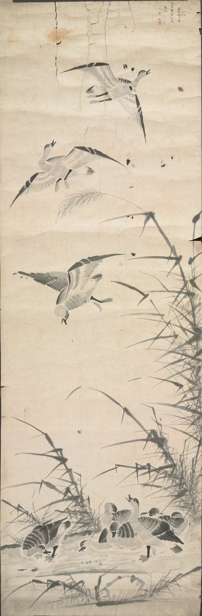 Gansos selvagens e juncos de Korea, Joseon dynasty
