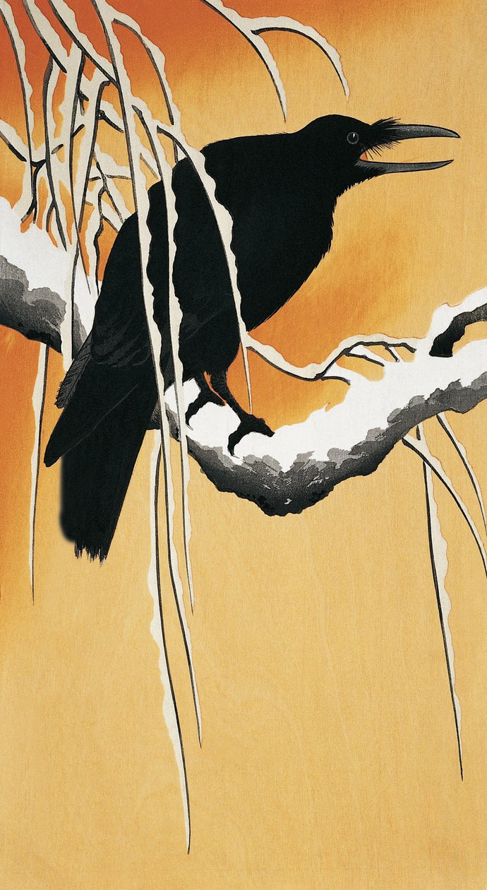 Corvo empoleirado num ramo (Corvus corax) de Ohara Koson