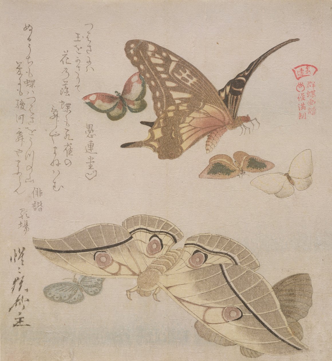 &39;Tsubasa ni wa ...&39; (primeira linha do poema) da série &39;Illustrated Collection of Butterflies&39;, c.1804-18 (xilogravura) de Kubo Shumman