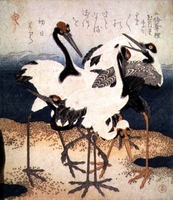 Cinco Guindastes com Penas Brancas em Várias Posições no Cuspo de Areia, da série Três Pétalas, c.1816 (tinta) de Kubo Shumman