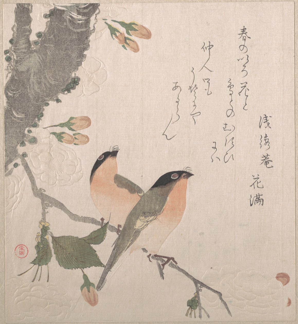 Dom-fafes e flores de cerejeira de Kubo Shunman
