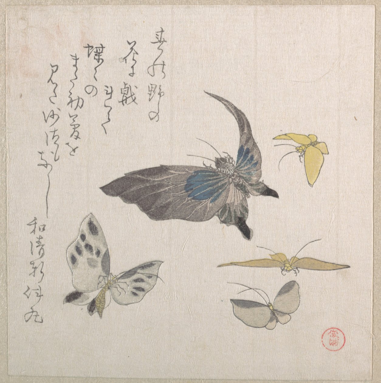 Borboletas de Kubo Shunman