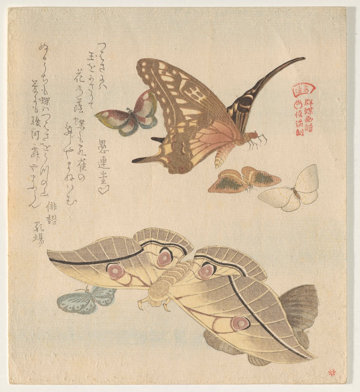 Borboletas e mariposas, da série A Flock of Butterflies (Gunch? Gafu) de Kubo Shunman