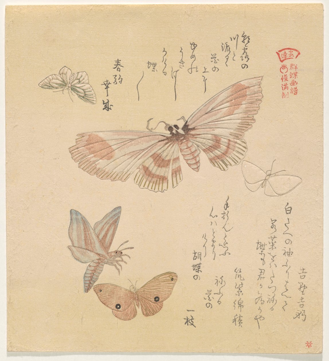 Borboletas e traças, da série A Flock of Butterflies (Gunch? Gafu) de Kubo Shunman