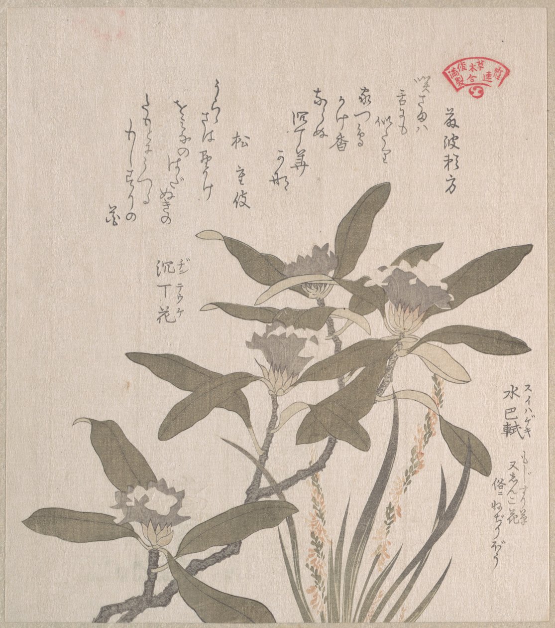Daphne odora e Mojisuri-so de Kubo Shunman