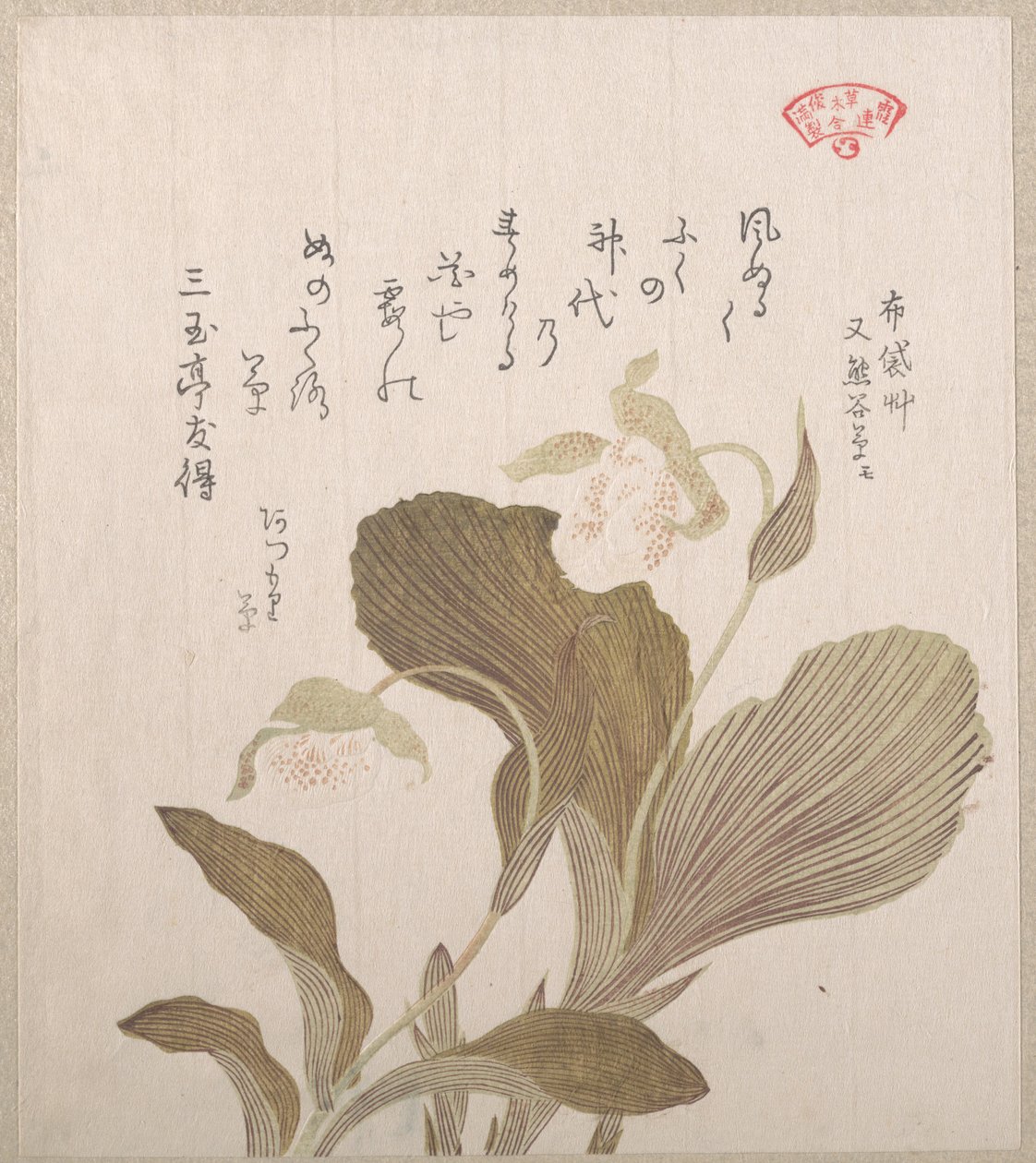 Flores de Hotei de Kubo Shunman