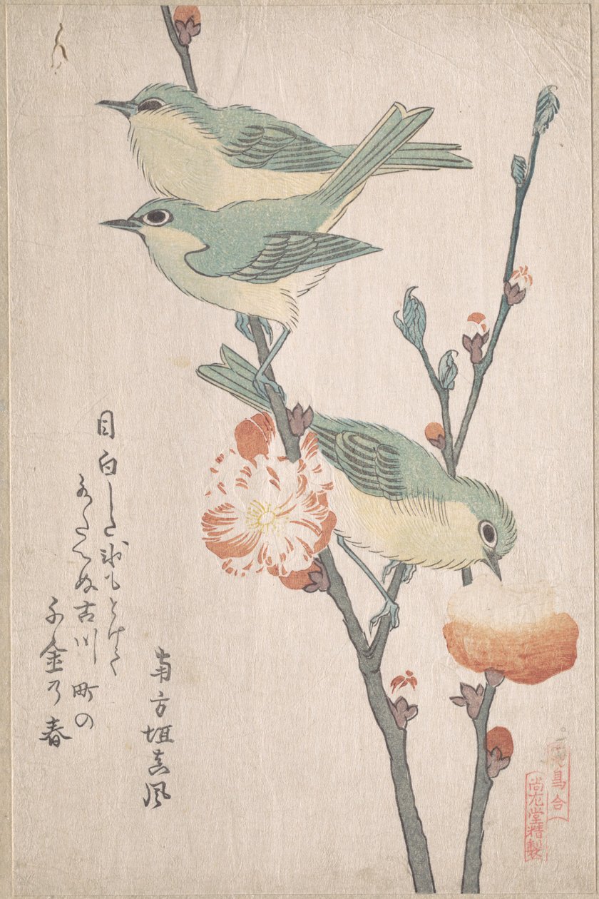 Zosteropes-japoneses num ramo de pessegueiro, da série Uma reunião de aves (Tori awase), do álbum de surimono Chuva de primavera (Harusame surimono-jō, vol. 3) de Kubo Shunman