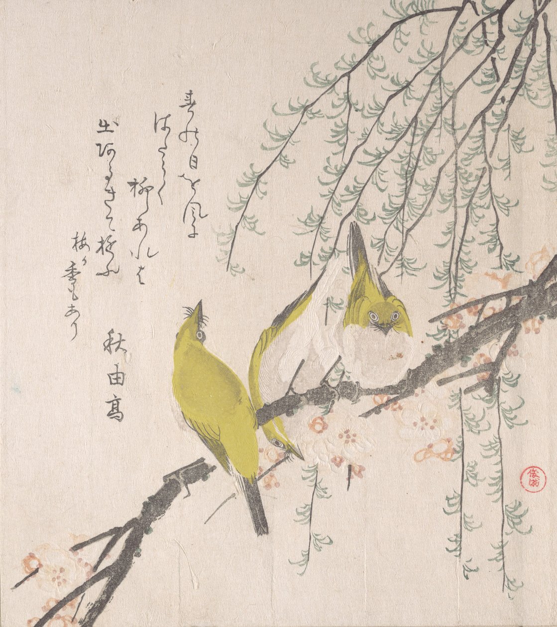 Olhos brancos japoneses com ameixeira e salgueiro..., ca. 1810. de Kubo Shunman