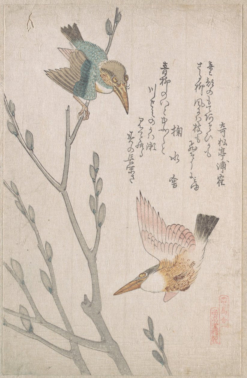 Martins-pescadores e salgueiros-brancos de Kubo Shunman