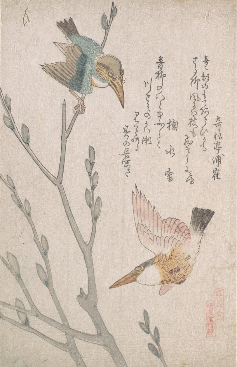 Kingfishers e Pussy-willow, século XIX. de Kubo Shunman
