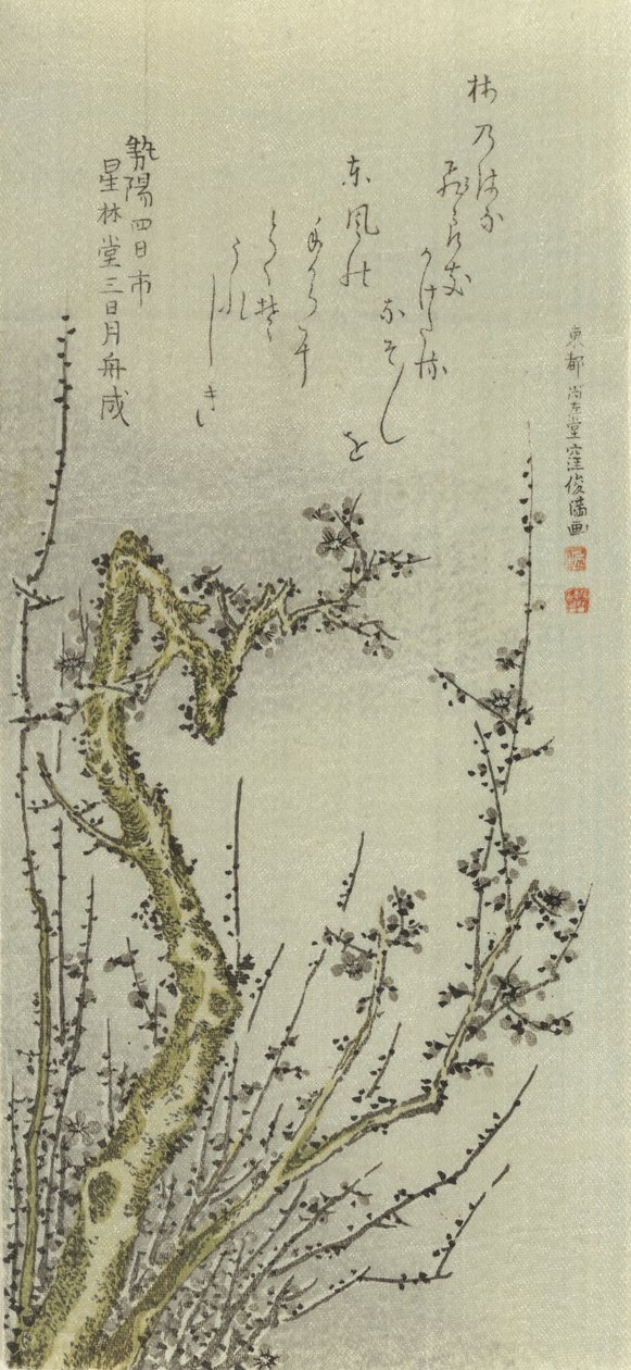 Ameixa Velha, 1796. de Kubo Shunman