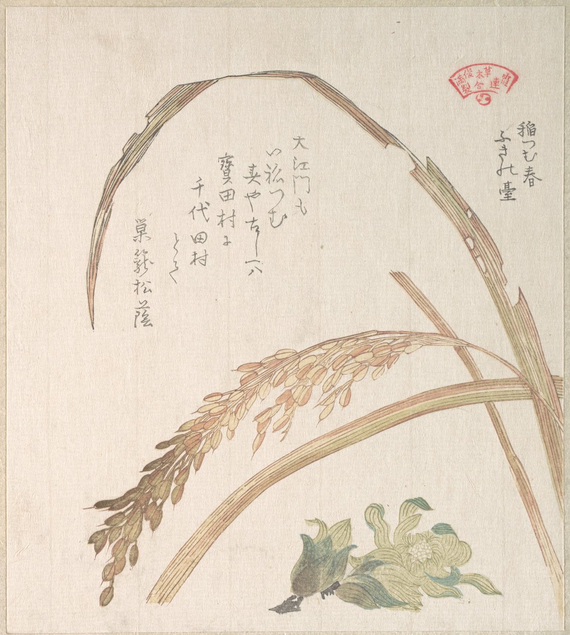 Planta do arroz e erva-manteiga de Kubo Shunman