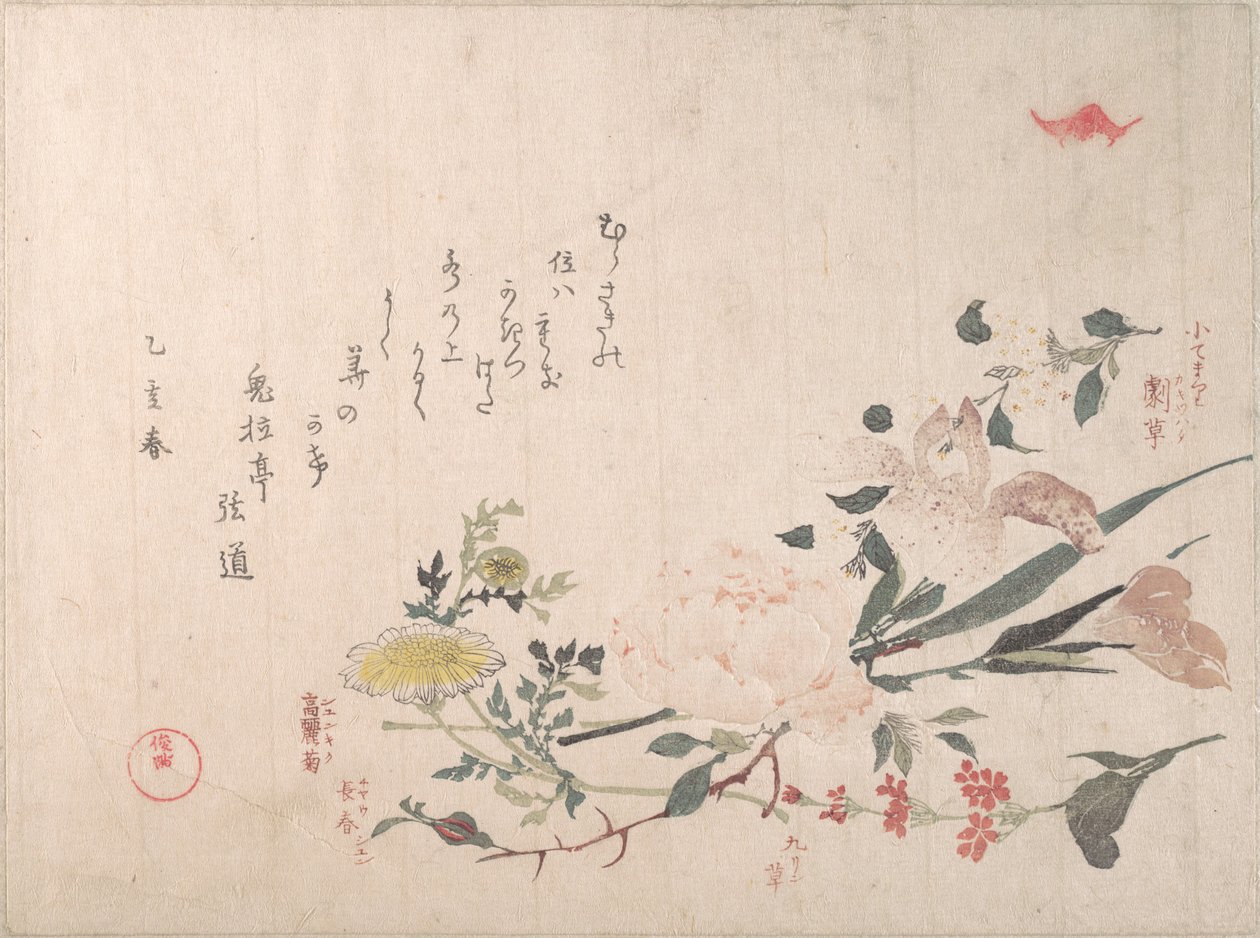 Rosa, íris, prímula e margarida de Kubo Shunman