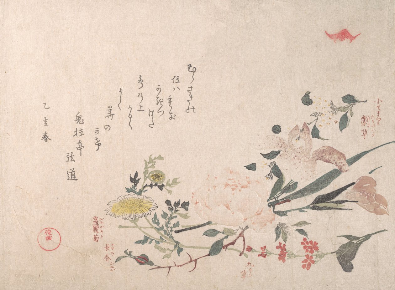 Rose, Iris, Primrose e Daisy, 1815. de Kubo Shunman