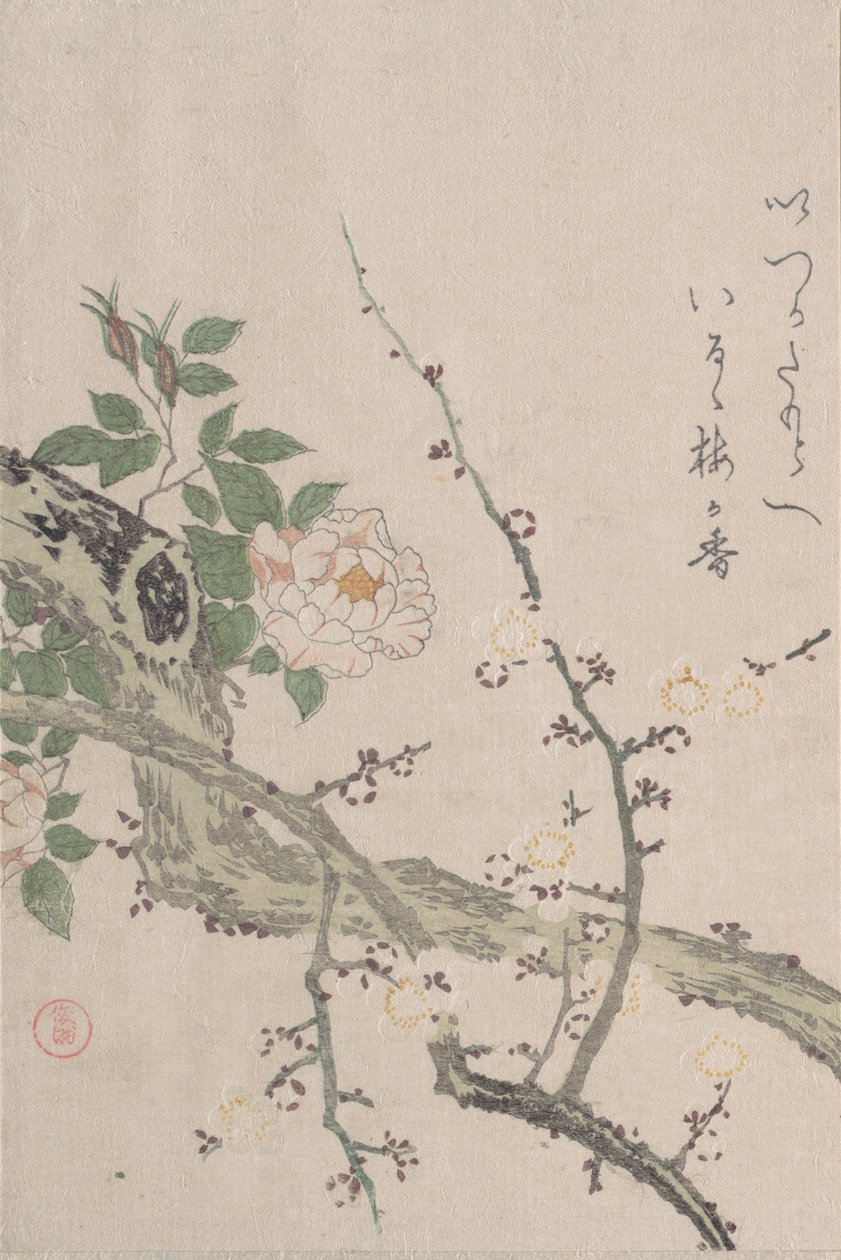 Rosas e Flores de Ameixa, século XIX. de Kubo Shunman