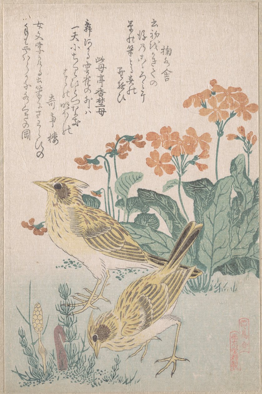 Lavercas e prímulas, da série «Uma variedade de aves» (Tori awase), do álbum de surimono Chuva de primavera (Harusame surimono-jō, vol. 3) de Kubo Shunman
