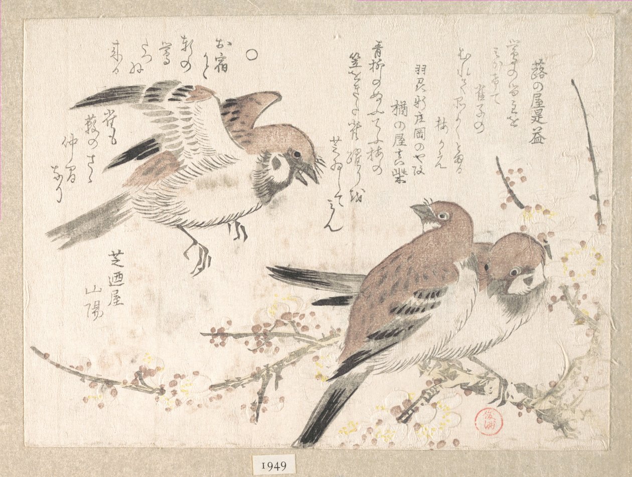 Pardais e flores de ameixoeira de Kubo Shunman