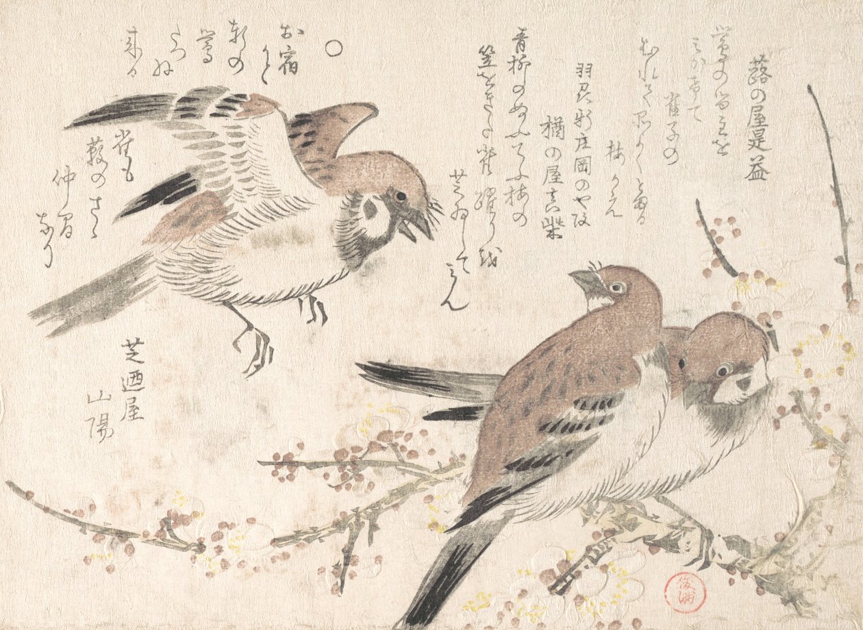 Sparrows and Plum Blossoms, século XIX. de Kubo Shunman