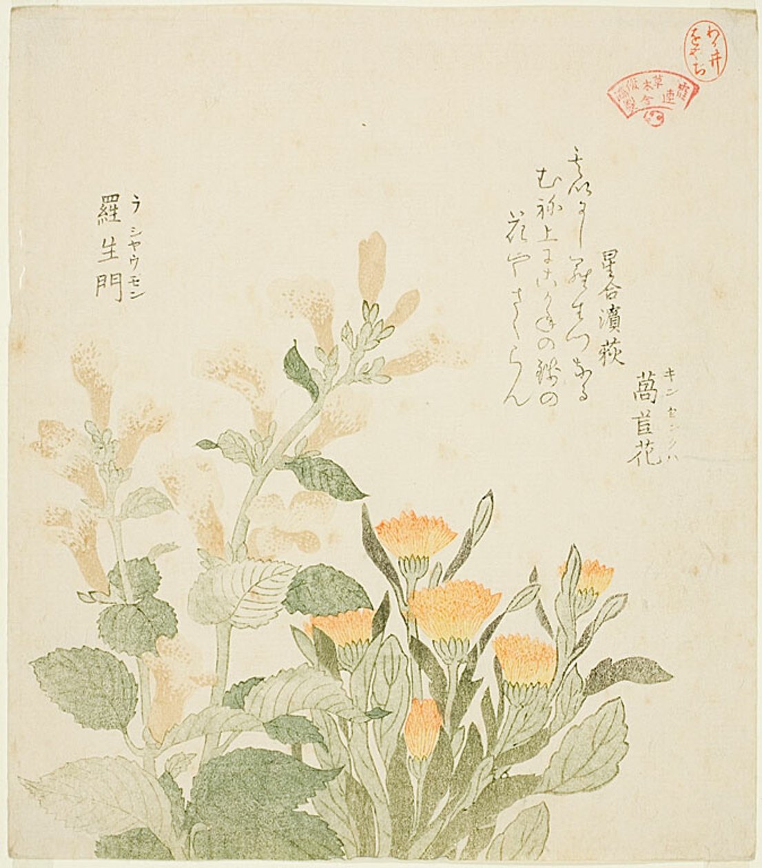 A calêndula comum e as flores de Rajoman de Kubo Shunman