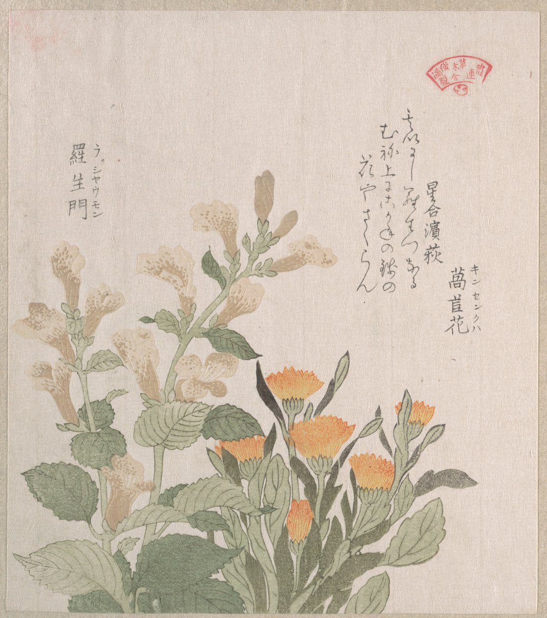 A calêndula comum e as flores de Rajoman de Kubo Shunman