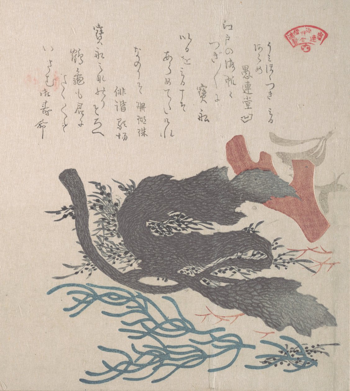 Várias algas marinhas, século XIX. de Kubo Shunman