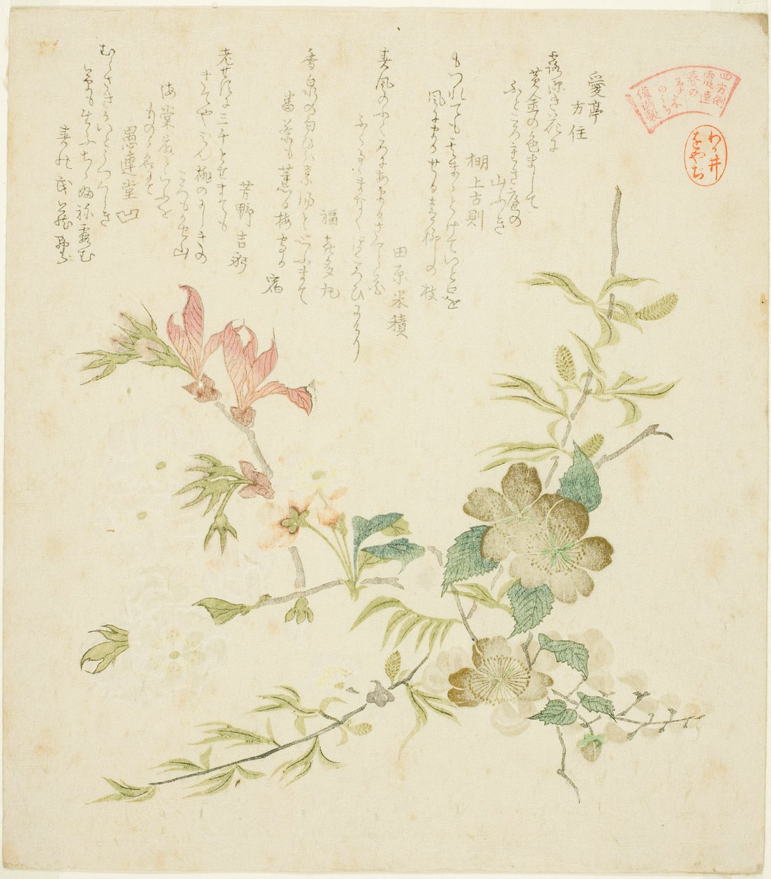 Várias flores da primavera, da série "Springtime Plants and Trees for the Kasumi Poetry Circle of the Yomo Group (Yomogawa Kasumi-ren haru no kusaki no uchi)" de Kubo Shunman